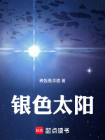 小说《银色太阳》封面