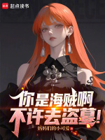 小说《你是海贼啊，不许去盗墓！》封面