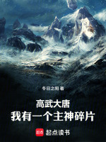 小说《高武大唐：我有一个主神碎片》封面