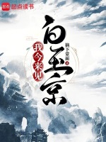 小说《我今来见白玉京》封面
