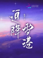 小说《迫降雪港》封面