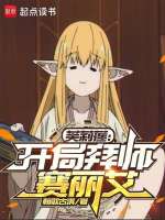 小说《芙莉莲：开局拜师赛丽艾》封面