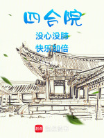 小说《四合院：没心没肺，快乐加倍》封面