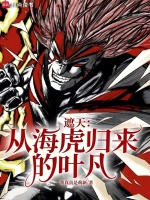 小说《遮天：从海虎归来的叶凡》封面