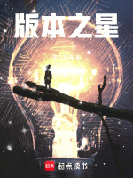 小说《版本之星》封面