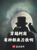 小说《柯南：兰，我真是新一，你信我啊》封面