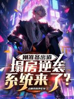 小说《刚准备出道，塌房逆袭系统来了？》封面