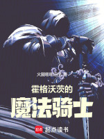 小说《霍格沃茨：谁让这骑士学魔法的？》封面