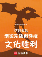 小说《这只金龙武德充沛但选择文化胜利》封面