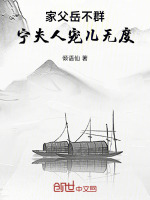 小说《家父岳不群，宁夫人宠儿无度》封面