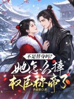 小说《不是替身吗？她怎么捧权臣称帝了》封面
