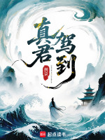 小说《真君驾到》封面