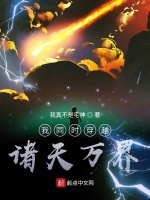 小说《我同时穿越诸天万界》封面