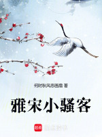 小说《雅宋小骚客》封面