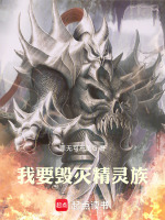 小说《我要毁灭精灵族》封面