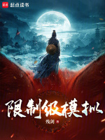 小说《限制级模拟》封面