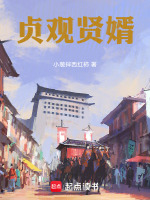 小说《贞观贤婿》封面
