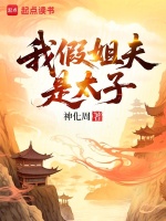 小说《我假姐夫是太子》封面