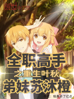 小说《全职高手之重生叶秋，弟妹苏沐橙》封面
