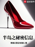小说《半岛之秘密信息》封面