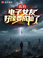 小说《我的电子女友好像要成仙了》封面