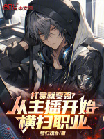 小说《打赏就变强？从主播开始横扫职业》封面