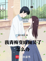 小说《我青梅变成幽灵了怎么办》封面