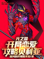 小说《光之国：开局恋爱攻略贝利亚》封面