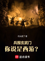 小说《兵围玄武门，你说是西游？》封面