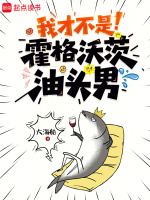 小说《霍格沃茨的阳光开朗斯内普》封面