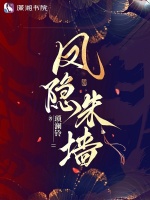小说《凤隐朱墙》封面