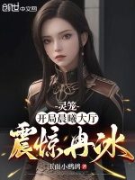 小说《灵笼：开局晨曦大厅，震惊冉冰》封面