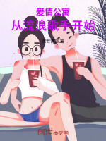 小说《爱情公寓：从流浪歌手开始》封面