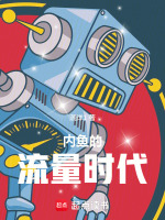 小说《内鱼的流量时代》封面