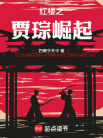 小说《红楼之贾琮崛起》封面