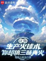 小说《让你生产火球术，你却搞三昧真火》封面