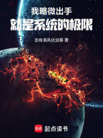 小说《我略微出手，就是系统的极限》封面