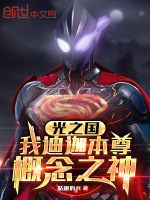 小说《光之国：我迪迦本尊，概念之神》封面