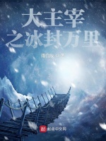 小说《大主宰之冰封万里》封面
