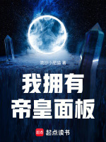 小说《我拥有帝皇面板》封面