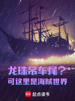 小说《龙珠吊车尾？可这里是海贼世界！》封面