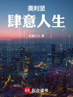 小说《美利坚肆意人生》封面