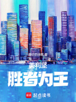小说《美利坚胜者为王》封面