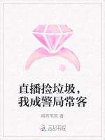 小说《直播捡垃圾，我成警局常客》封面
