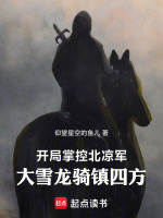 小说《开局掌控北凉军，大雪龙骑镇四方》封面