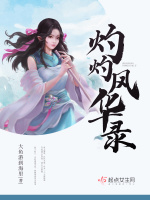 小说《灼灼风华录》封面