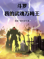 小说《武魂万吨王，我在斗罗开机甲》封面