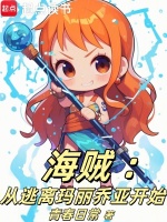 小说《海贼：从逃离玛丽乔亚开始》封面