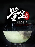 小说《鉴宝金瞳》封面