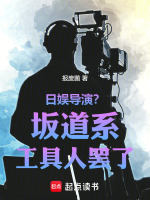 小说《日娱导演？坂道系工具人罢了！》封面